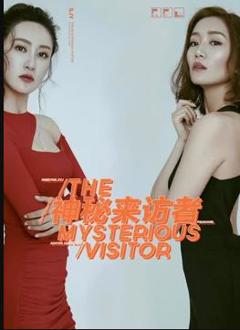 《神秘来访者》