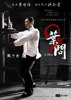 《叶问2：宗师传奇》