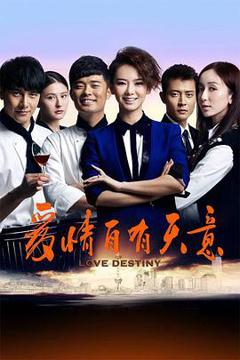 《爱情自有天意第一部》