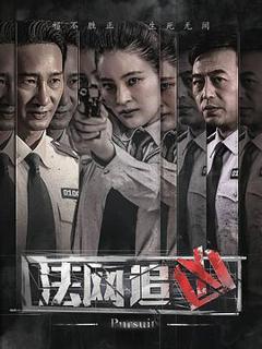 《法网追凶第一季》