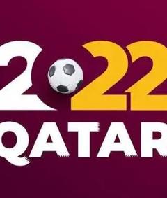 《2022世界杯 卡塔尔VS厄瓜多尔》
