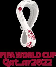 2022世界杯 美国vs威尔士