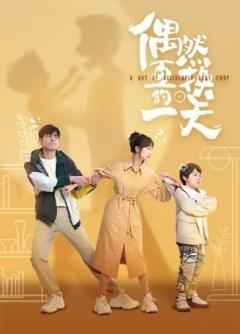 《偶然互换的一天》