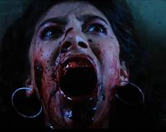 《她自林中来》