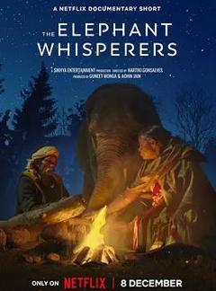 《小象守护者》