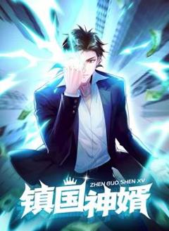 《镇国神婿动态漫画》