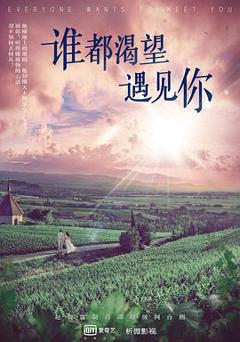 《谁都渴望遇见你》
