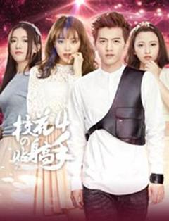 校花的贴身高手4