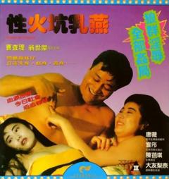 《性火坑乳燕》
