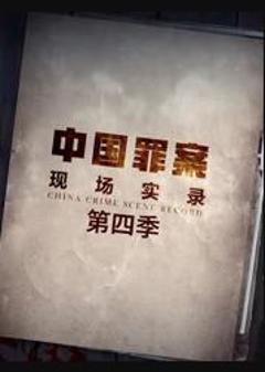 罪案现场实录第四季
