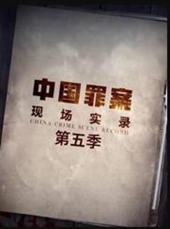 罪案现场实录第五季