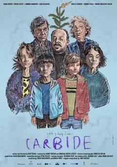 《碳化物》