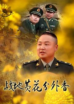 战地黄花分外香