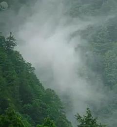 《日本印象派水光和鸣》