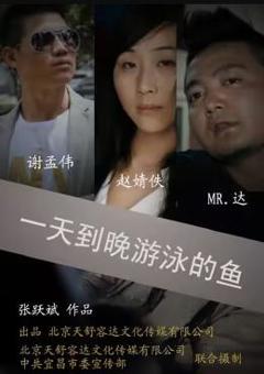 《一天到晚游泳的鱼》