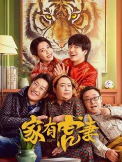 《家有虎妻2023》