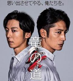 《龙道双面复仇者》