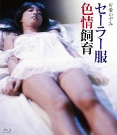 《水手服色情饲育》
