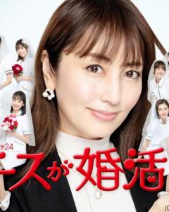 《护士的征婚》