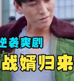 《战婿归来》