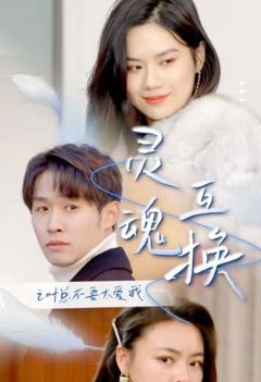 《灵魂互换后之叶总不要太爱我》