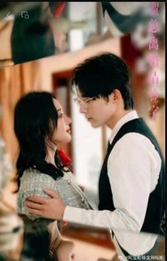 贺总离婚请签字