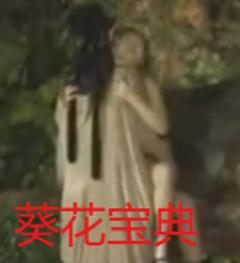《葵花宝典》