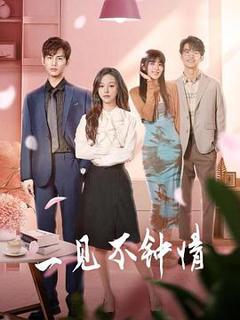 《一见不钟情》