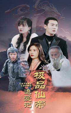 极品仙帝追爱记