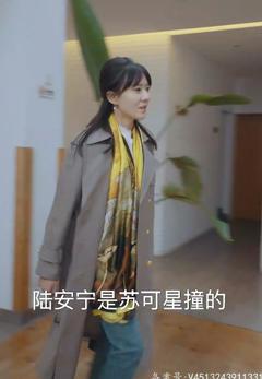 萌宝助攻，霸道爹地又宠又撩