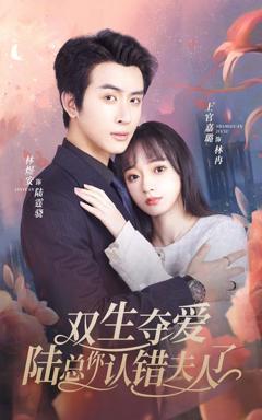 《双生夺爱陆总你认错夫人了》