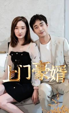 《新：上门豪婿》