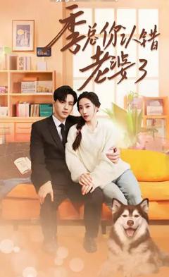 季总你认错老婆了