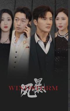《风暴2024》