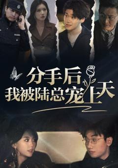 分手后，我被陆总宠上天