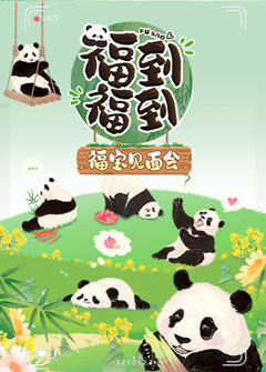 福到福到福宝见面会