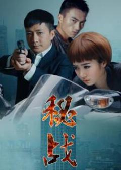 秘战2015