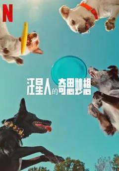 汪星人的奇思妙想