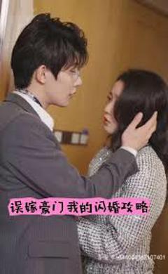 《误嫁豪门我的闪婚攻略》