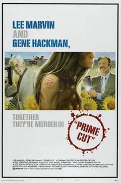 《双龙大火拼》