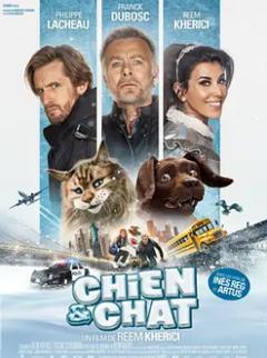 《猫狗大乱斗》