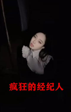 《疯狂的经纪人》