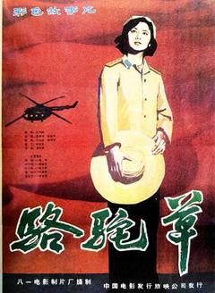 《骆驼草》