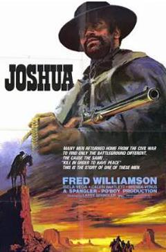 《荒野黑煞星》