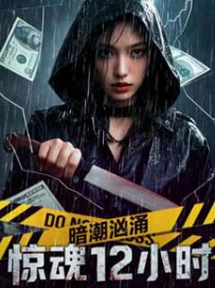 《暗潮汹涌之惊魂12小时》