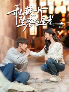 私藏一片坠落的星光