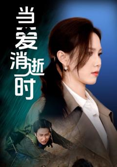 《当爱消逝时》
