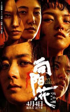 《向阳·花》