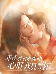《重逢他红眼跪哄，心肝，我只要你》