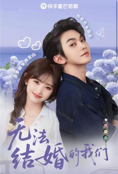 《无法结婚的我们》